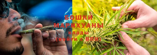 прущие крисы Калининец