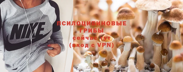 ешки Абдулино