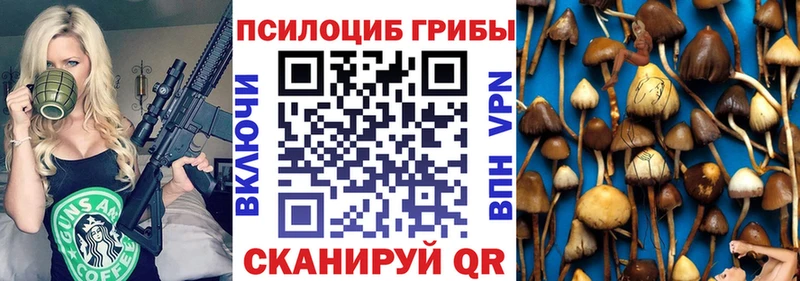 Псилоцибиновые грибы ЛСД Вышний Волочёк